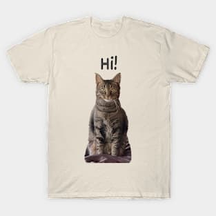 Hi! T-Shirt